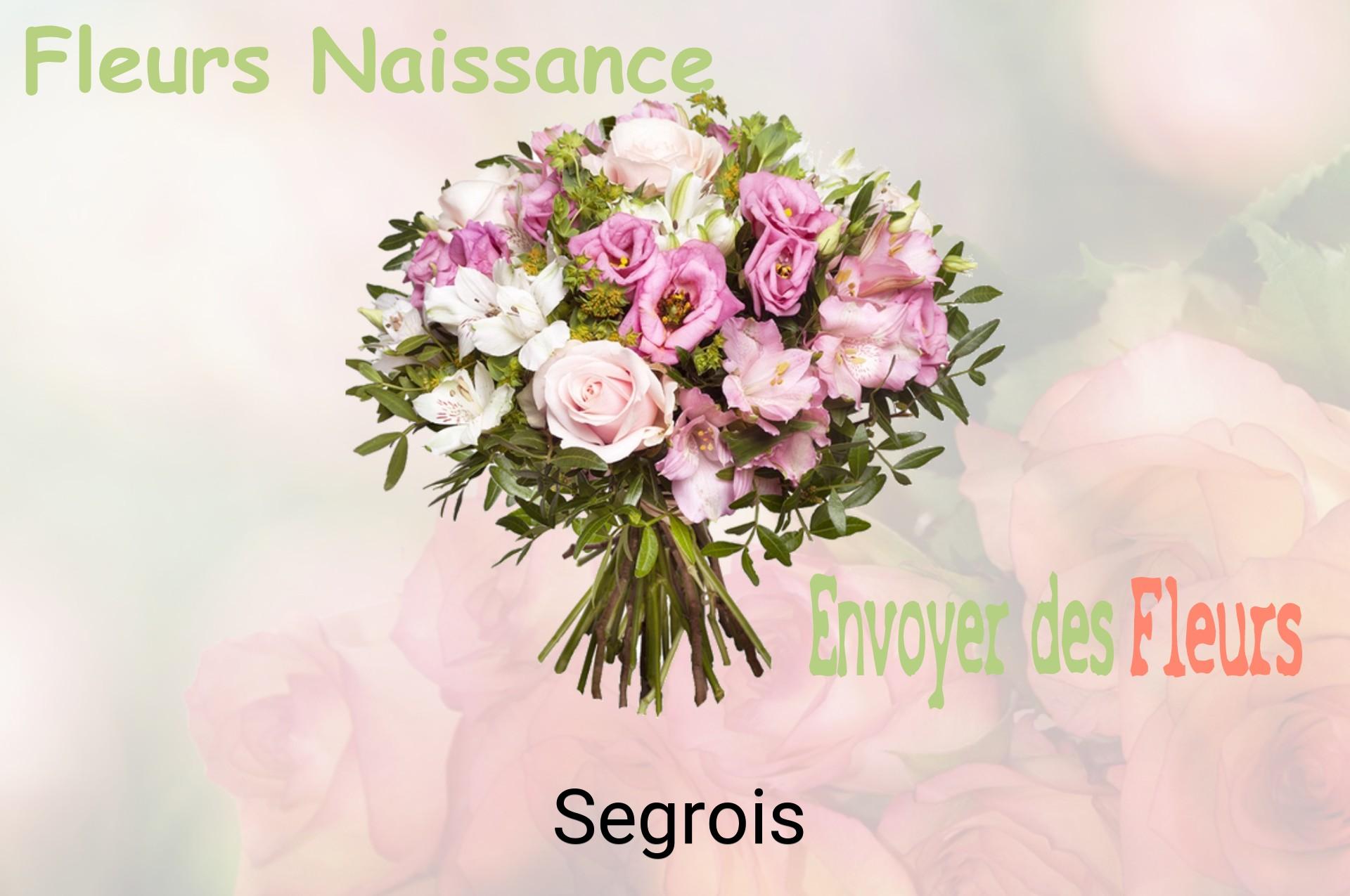 Bouquet de fleurs de naissance livré à Segrois